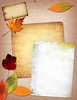 Paper Collage 5
