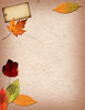 Paper Collage 3