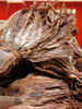 dried squid