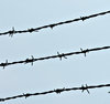 barbed