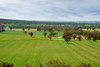 landscapes