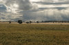rural