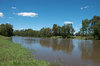 swamp