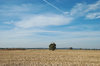 rural
