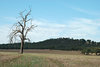 rural