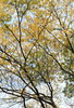 Nature's Abstracts 1