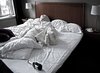 Sparkling Wine Bed