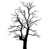 Silhouette Tree 2