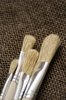 Brushes on canvas
