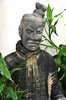 warrior in the bamboo
