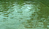 water feature