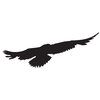Silhouette Seagull