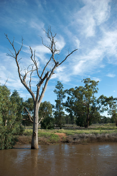 rural: the creek is finally full