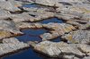 Rocks & water
