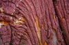 Painted wood texture 4