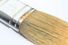 Paintbrush