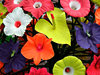 artificial colours