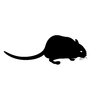 silhouette gerbil