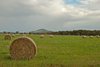 rural