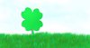 Clover