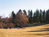 winter park scenery