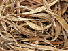 dried pipefish for sale