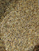 caraway seeds