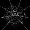 Spider's Web 1