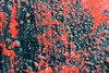 Scratched red paint texture