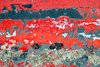 Weathered wall