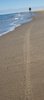 The Beach