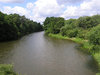 Pilica river