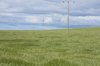 Field