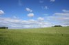 Field