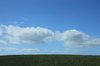 Field