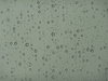 Raindrops