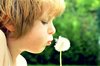 girl with blowball