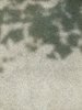 Shadow