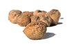 nuts,nuts