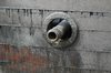Reproduction cannon