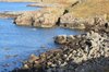 Highland coast