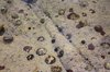 Rockpool