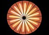 decorative neon lights