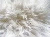 Sheep skin texture 1
