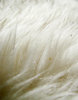 Sheep skin texture 3