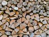 woodpile 1