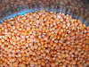 Lentils in pot