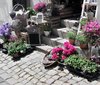 Picturesque entrance