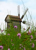 Old Windmill 1