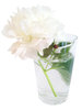 Peony